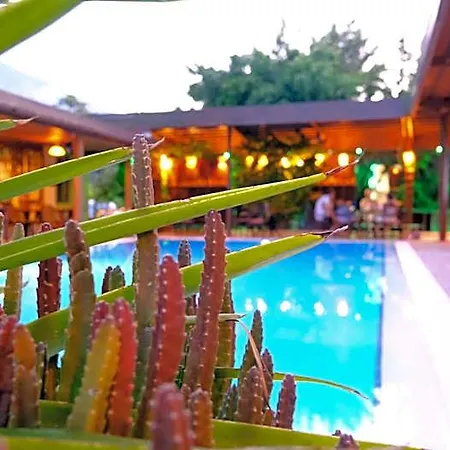 Bella View Art Boutique 3*